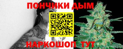 шишки Камышлов