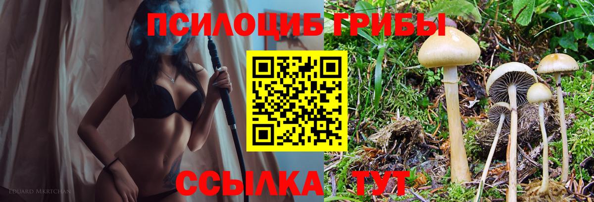 наркотики  Вход с VPN  Кропоткин  Галлюциногенные грибы MAGIC MUSHROOMS 