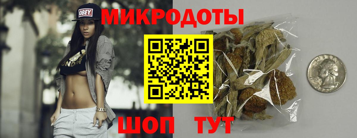 Псилоцибиновые грибы мицелий Кропоткин